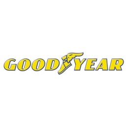 Pneus Goodyear Wrangler® All-Terrain Adventure 1.55"  Z-T0171 RC4WD (2)