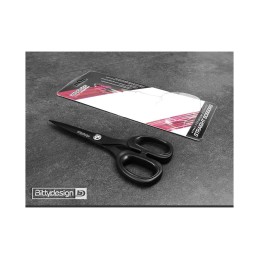 Ciseaux droits en...